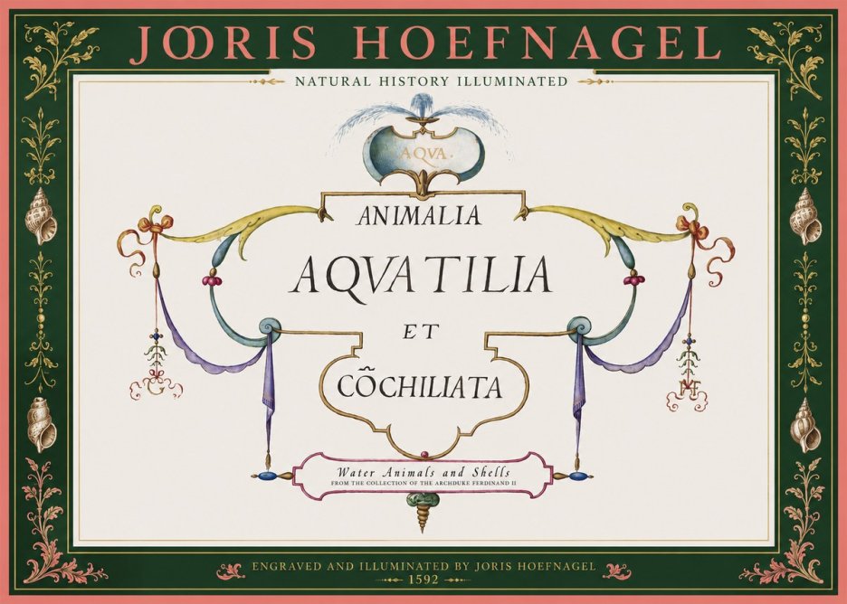 Joris Hoefnagel Animalia Aquatilia Et Cochiliata No2 - Juliste