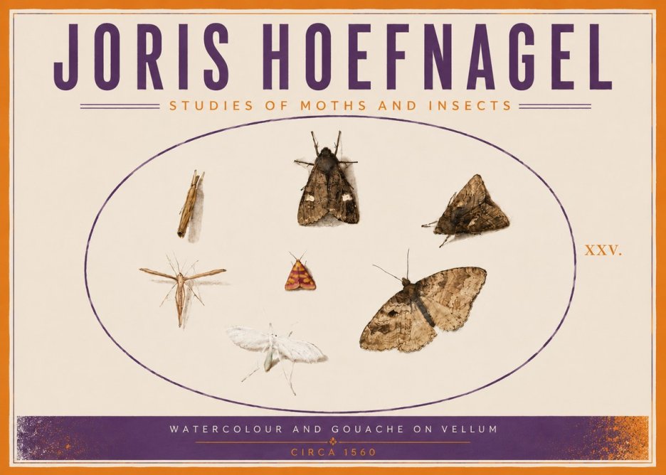 Joris Hoefnagel Studies of Moths and Insects - Xxv. No5 - Juliste