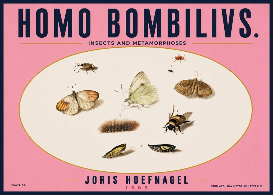Joris Hoefnagel Homo Bombilivs. Insecta Et Metamorphoses No4 - Juliste