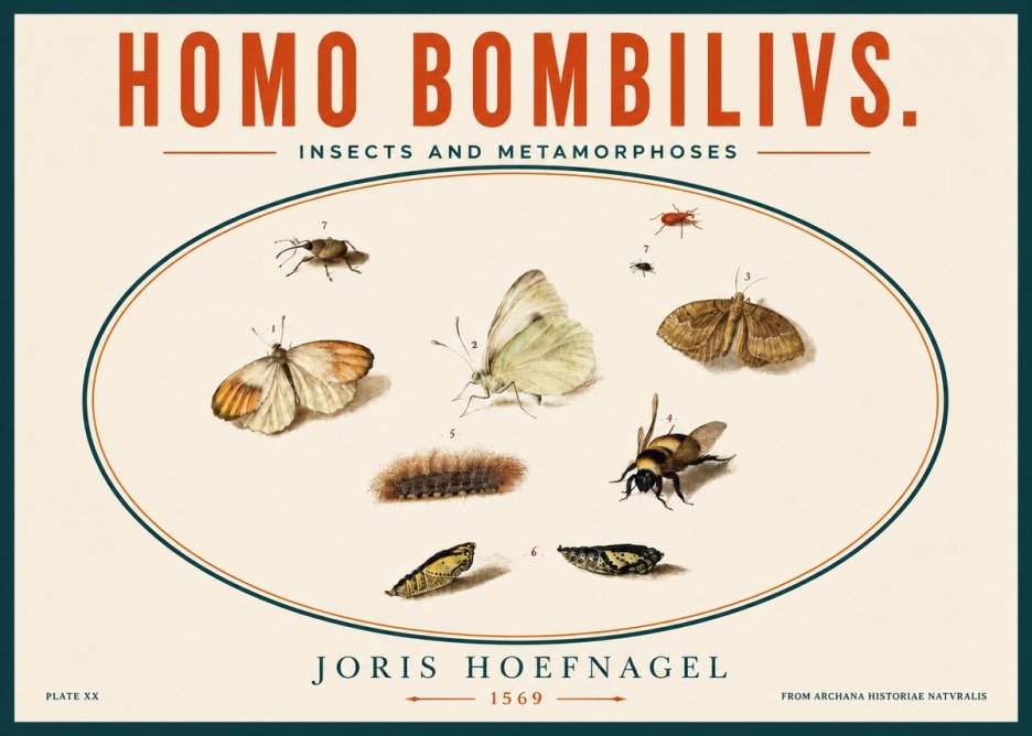 Joris Hoefnagel Homo Bombilivs. Insecta Et Metamorphoses No5 - Juliste