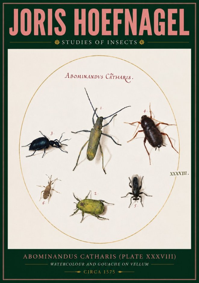 Joris Hoefnagel Abominandus Catharis (Plate Xxxviii) No2 - Juliste