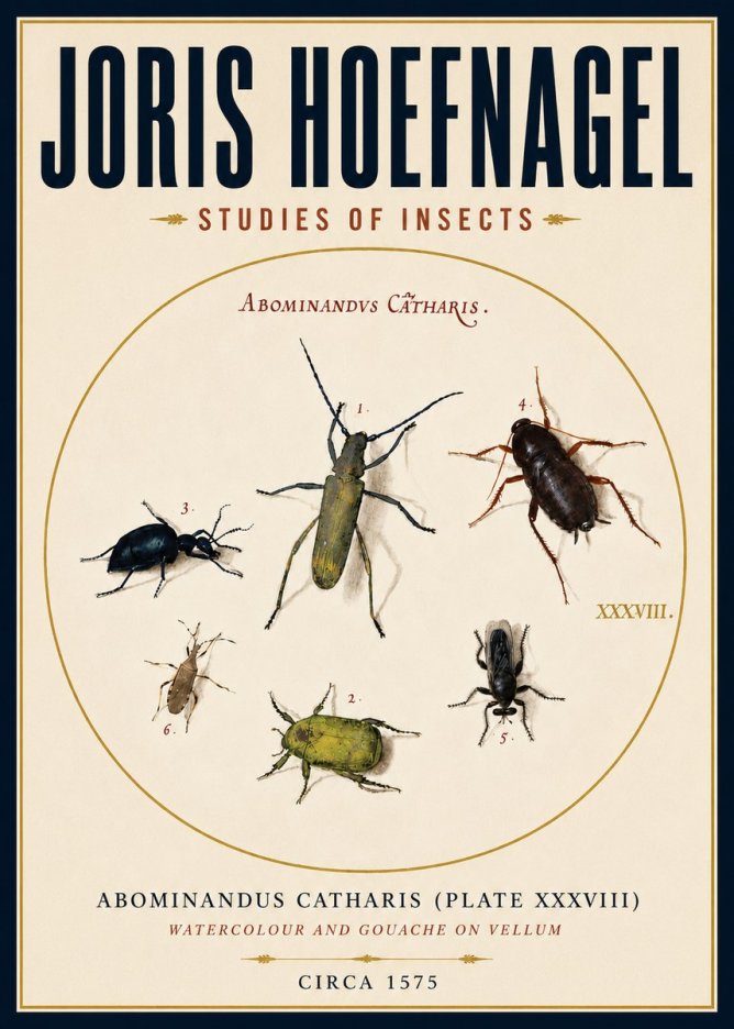 Joris Hoefnagel Abominandus Catharis (Plate Xxxviii) No4 - Juliste