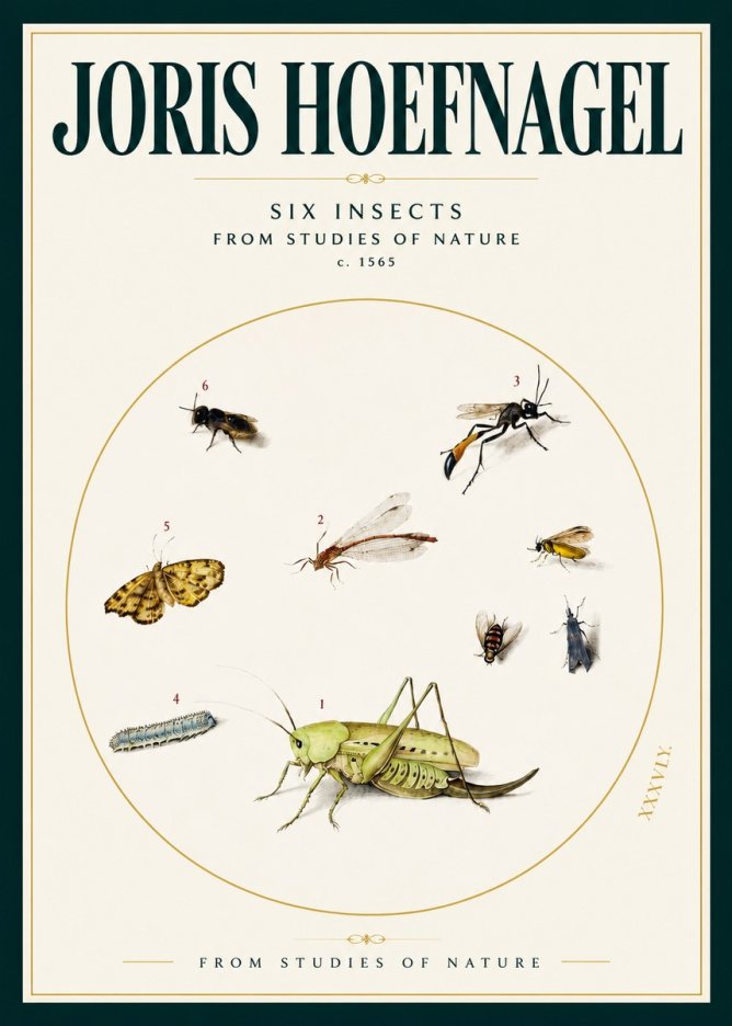 Joris Hoefnagel Six Insects from Studies of Nature C. 1565 No2 - Juliste