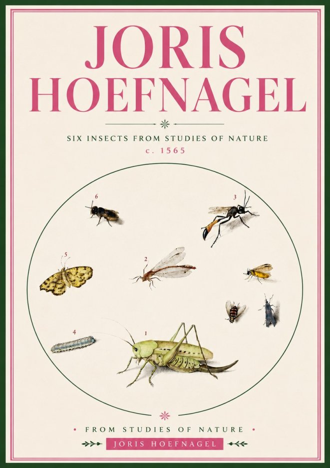 Joris Hoefnagel Six Insects from Studies of Nature C. 1565 No5 - Juliste