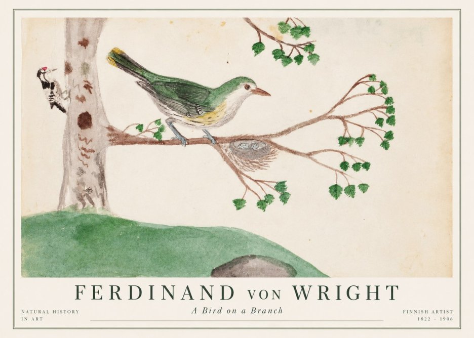 Ferdinand von Wright Green Warbler with Nest No2 - Juliste