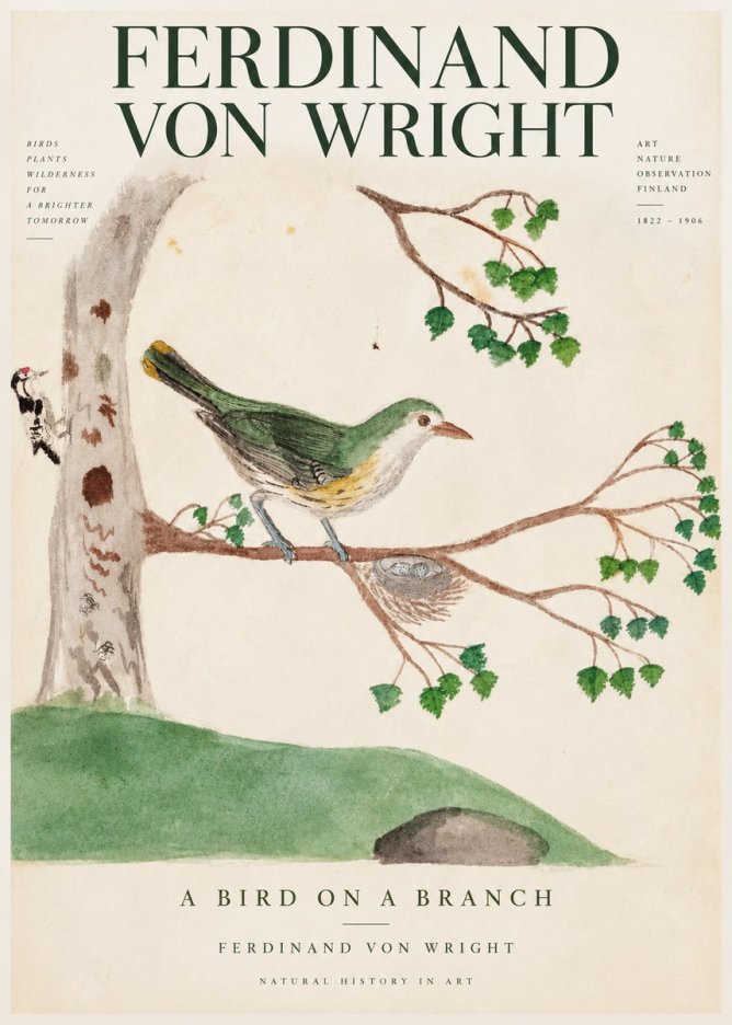 Ferdinand von Wright Green Warbler with Nest No4 - Juliste