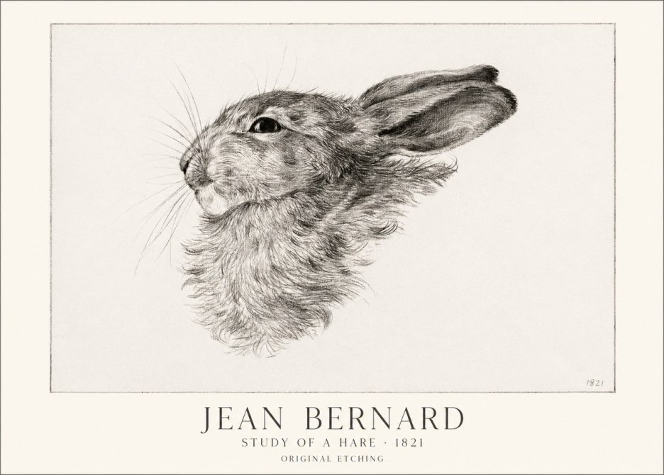 Jean Bernard Study of a Hare No1 - Juliste