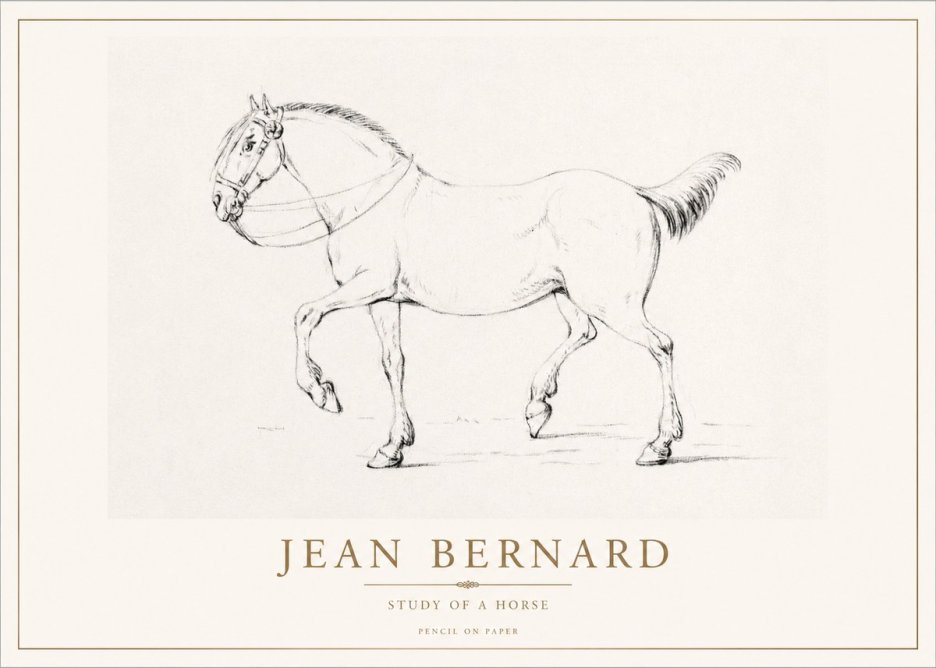 Jean Bernard Study of a Horse XVI No1 - Juliste