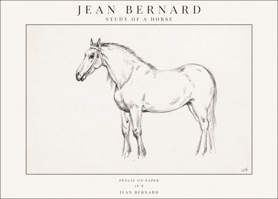 Jean Bernard Study of a Horse XVII No1 - Juliste