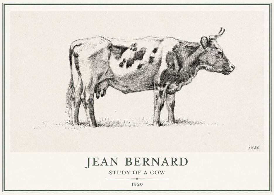Jean Bernard Study of a Cow XX No1 - Juliste