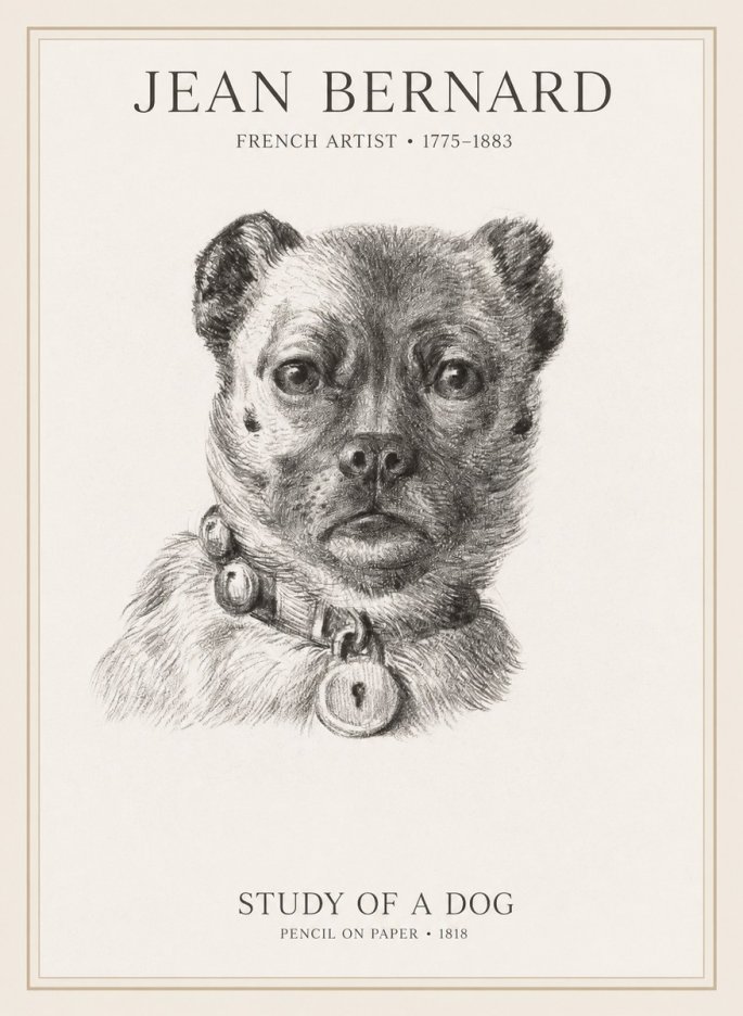 Jean Bernard Study of a Dog IV No1 - Juliste