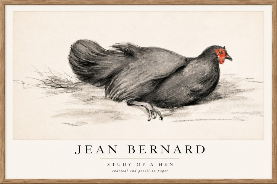 Jean Bernard Study of a Hen No1 - Juliste