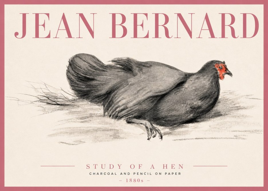 Jean Bernard Study of a Hen No3 - Juliste
