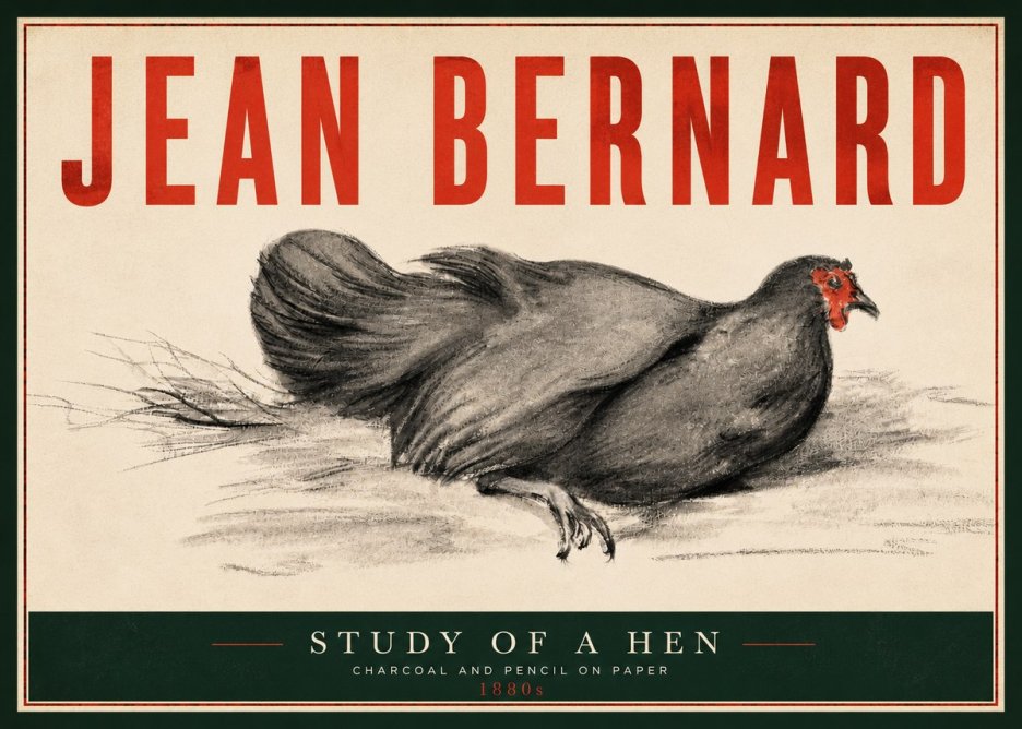 Jean Bernard Study of a Hen No4 - Juliste