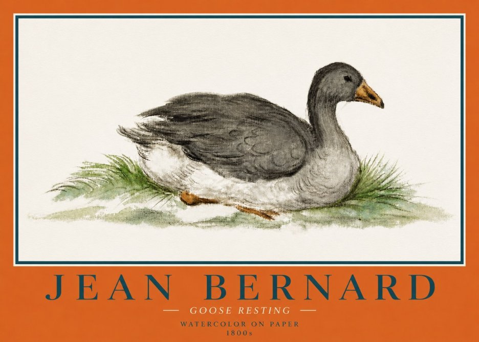 Jean Bernard Goose Resting No4 - Juliste