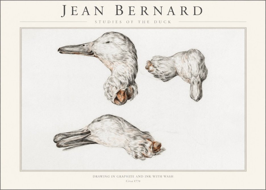 Jean Bernard Studies of the Duck No1 - Juliste
