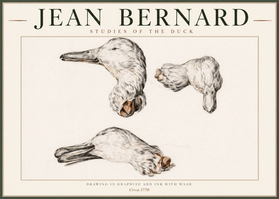 Jean Bernard Studies of the Duck No4 - Juliste