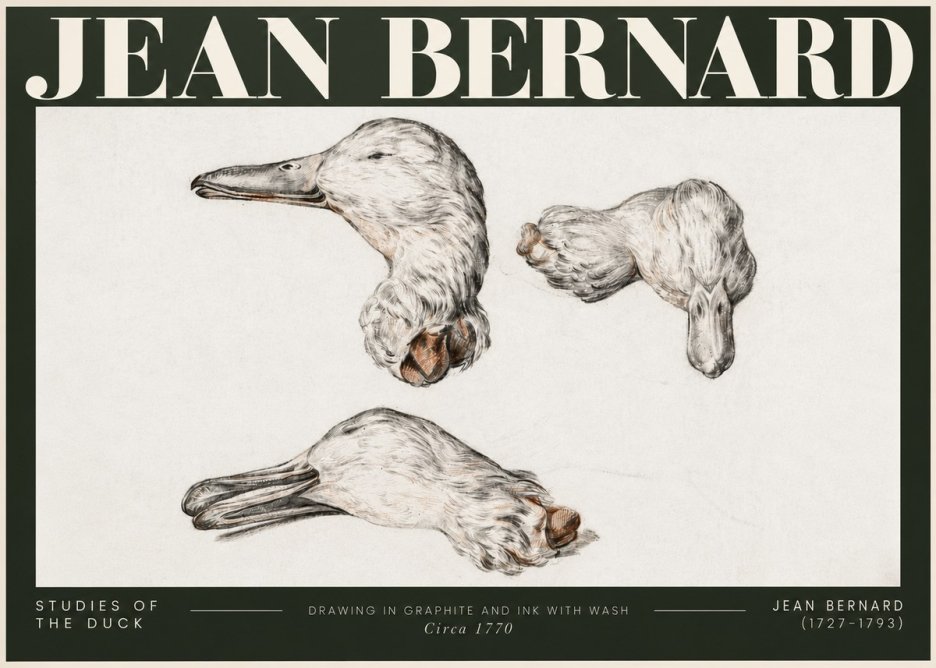 Jean Bernard Studies of the Duck No5 - Juliste