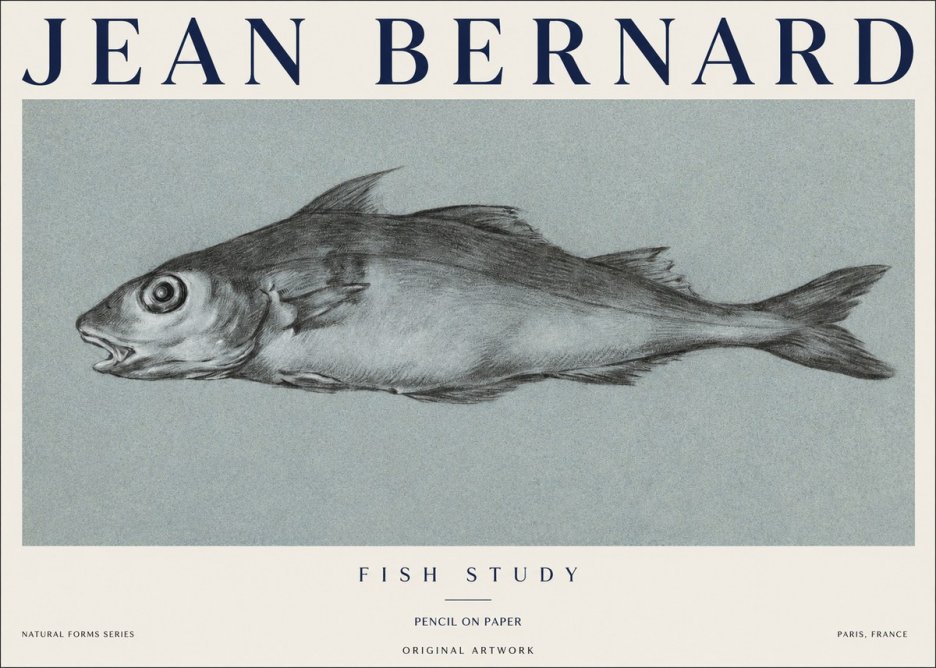 Jean Bernard Fish Study I No1 - Juliste