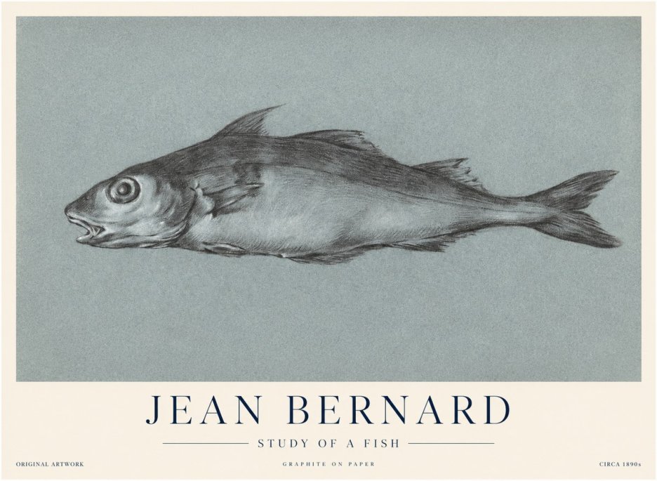 Jean Bernard Fish Study I No4 - Juliste