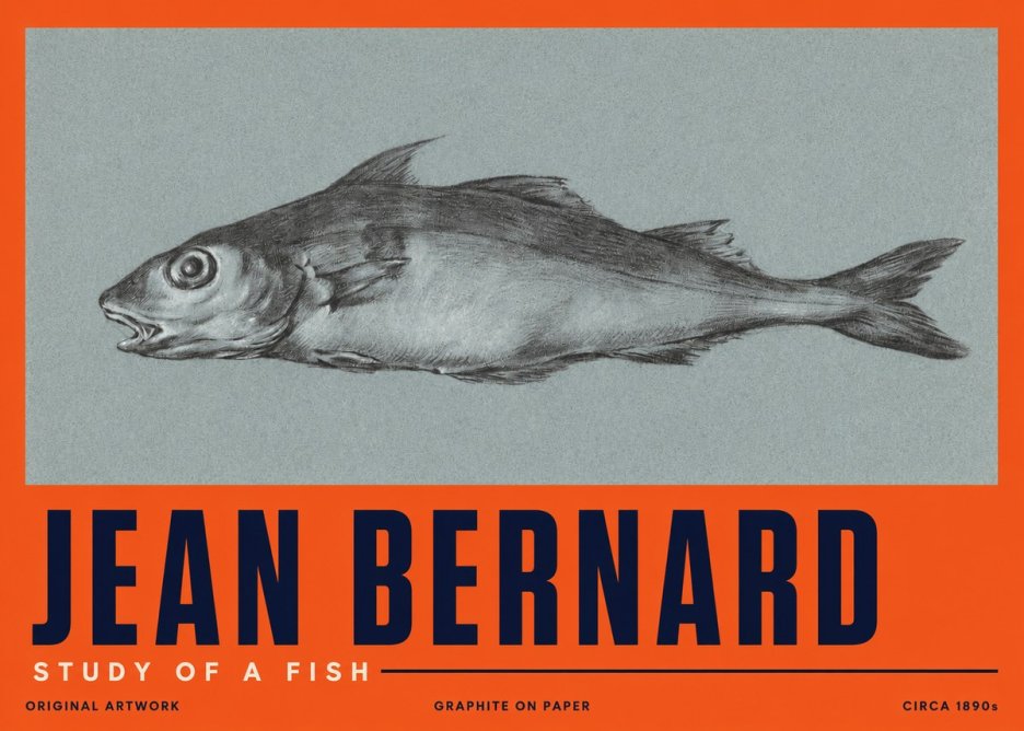 Jean Bernard Fish Study I No5 - Juliste