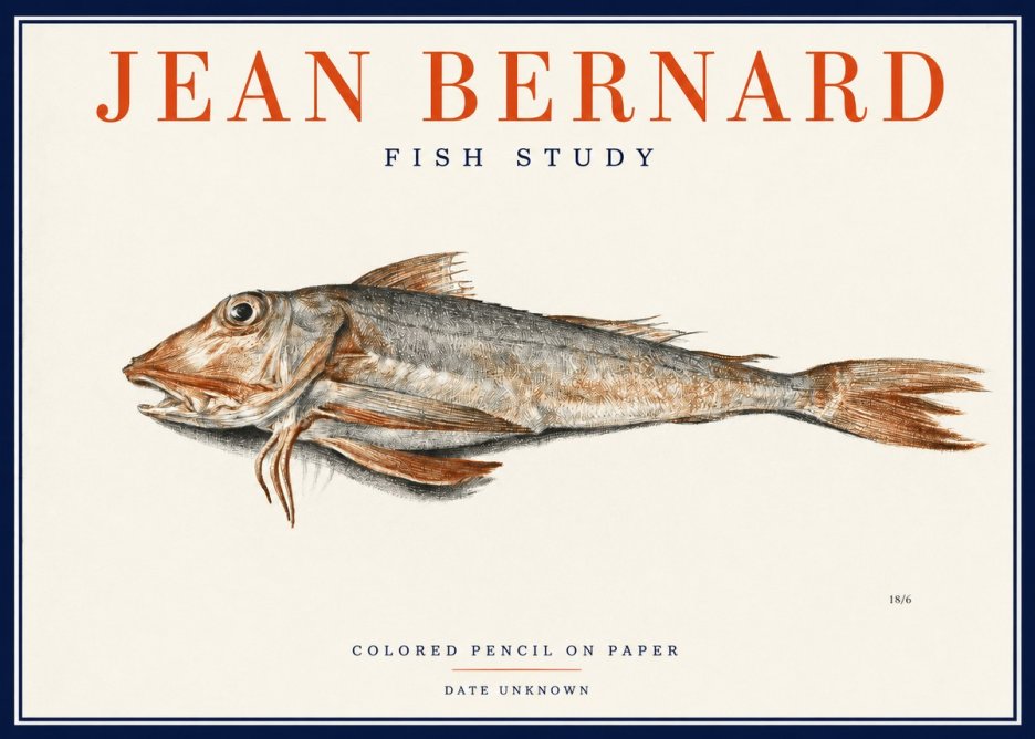 Jean Bernard Fish Study II No2 - Juliste