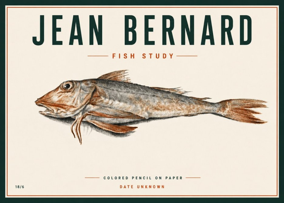 Jean Bernard Fish Study II No4 - Juliste