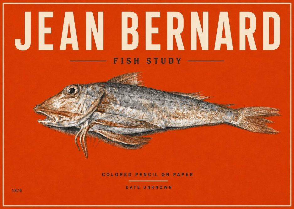 Jean Bernard Fish Study II No5 - Juliste