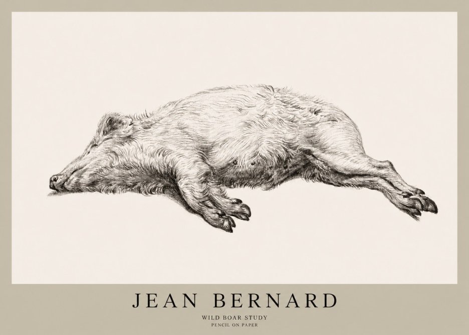 Jean Bernard Wild Boar Study No1 - Juliste