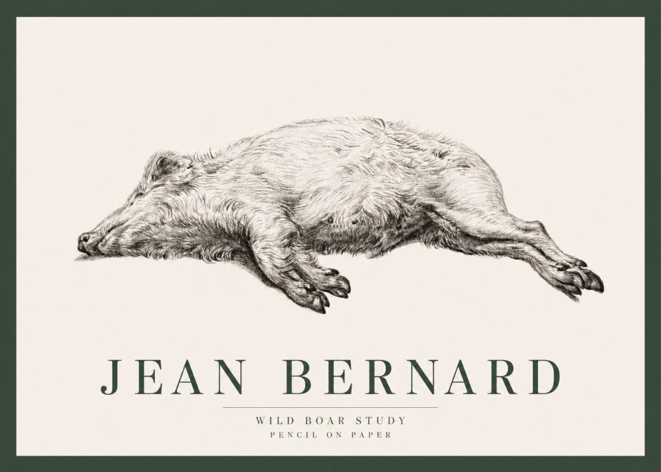Jean Bernard Wild Boar Study No2 - Juliste