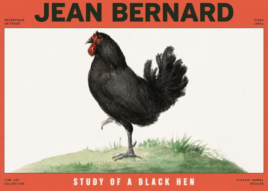 Jean Bernard Study of a Black Hen No2 - Juliste