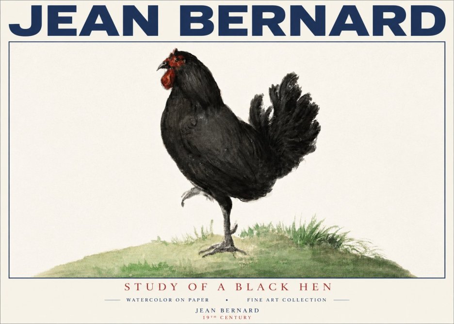 Jean Bernard Study of a Black Hen No4 - Juliste