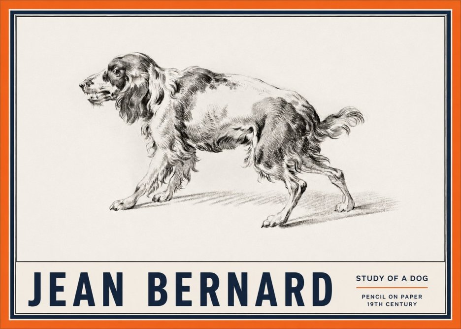 Jean Bernard Study of a Dog V No2 - Juliste
