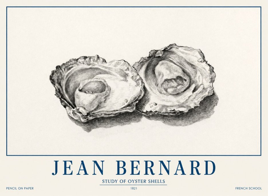 Jean Bernard Study of Oyster Shells No1 - Juliste