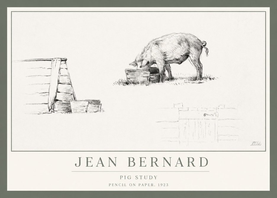 Jean Bernard Pig Study No1 - Juliste