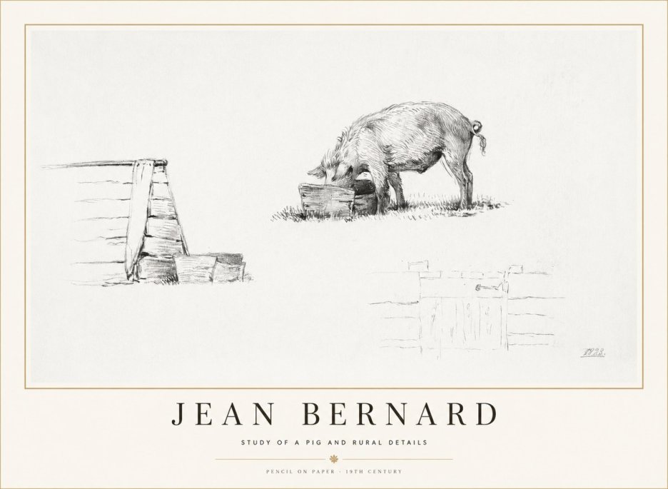 Jean Bernard Pig Study No2 - Juliste