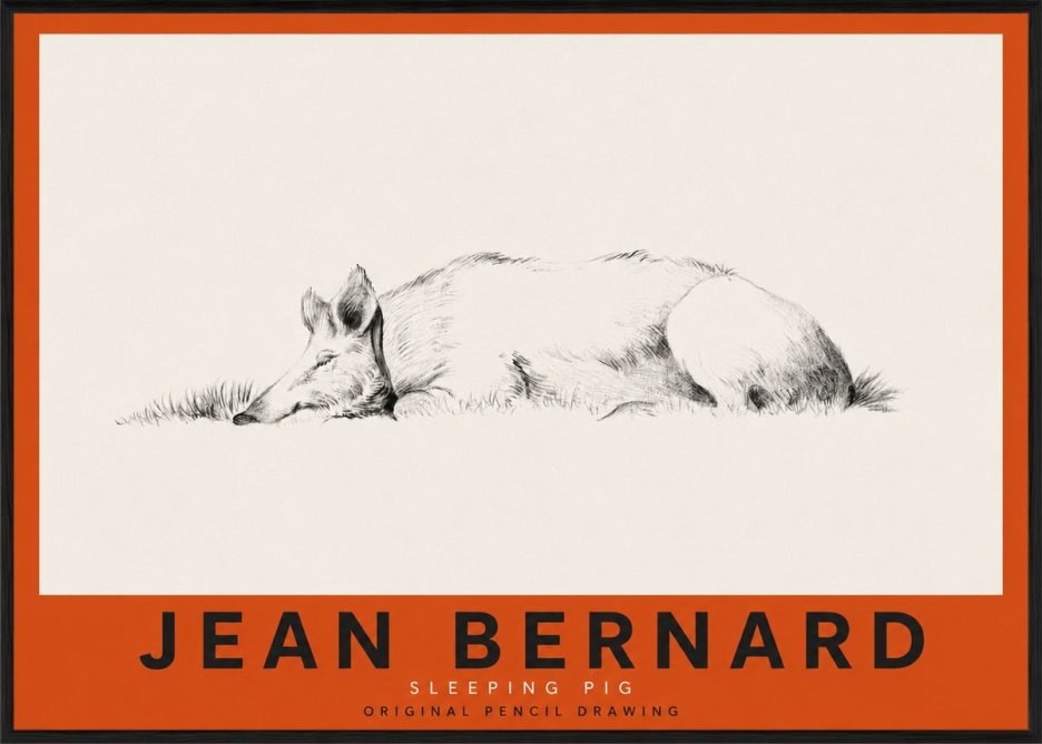 Jean Bernard Sleeping Pig II No3 - Juliste