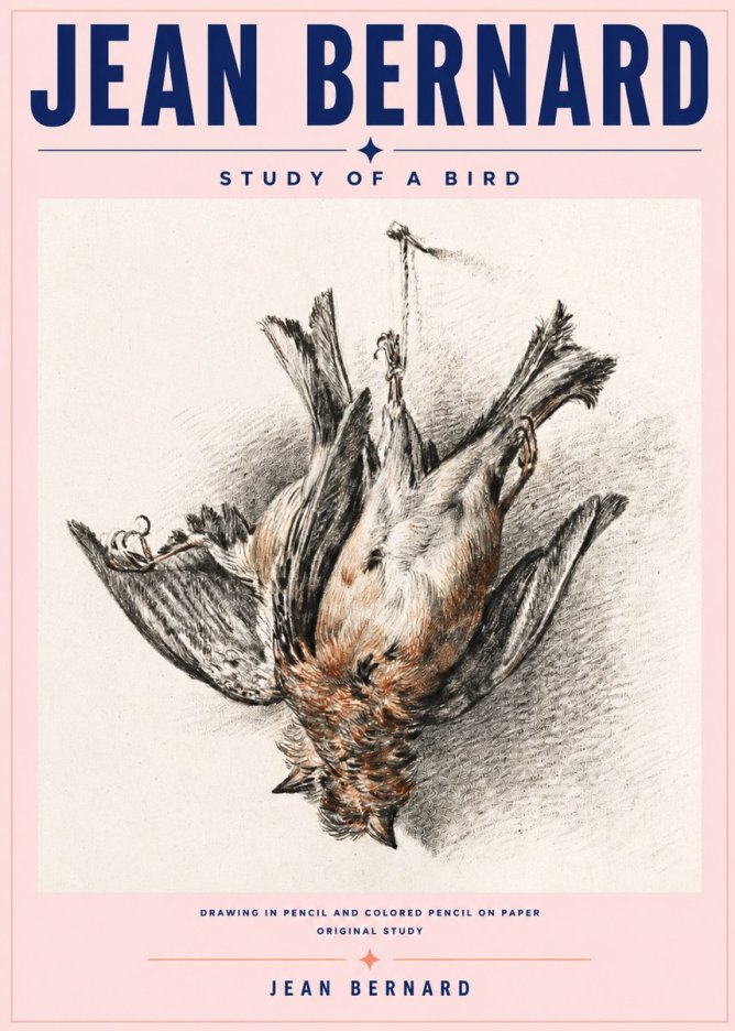 Jean Bernard Study of a Bird IV No6 - Juliste