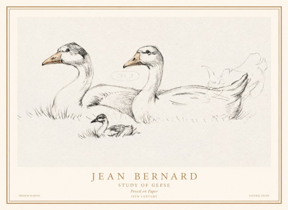 Jean Bernard Study of Geese No1 - Juliste