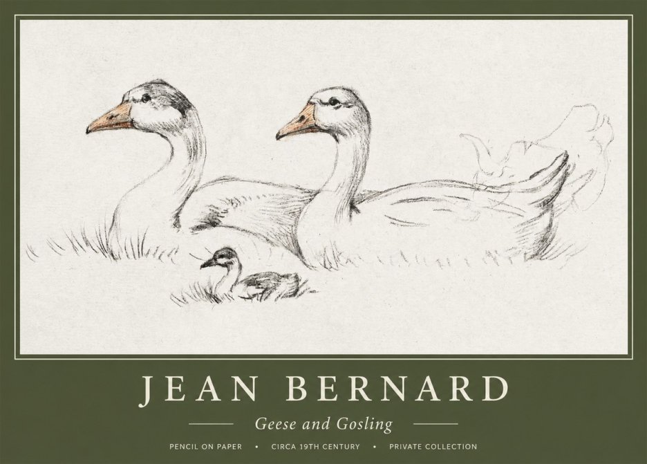Jean Bernard Study of Geese No2 - Juliste