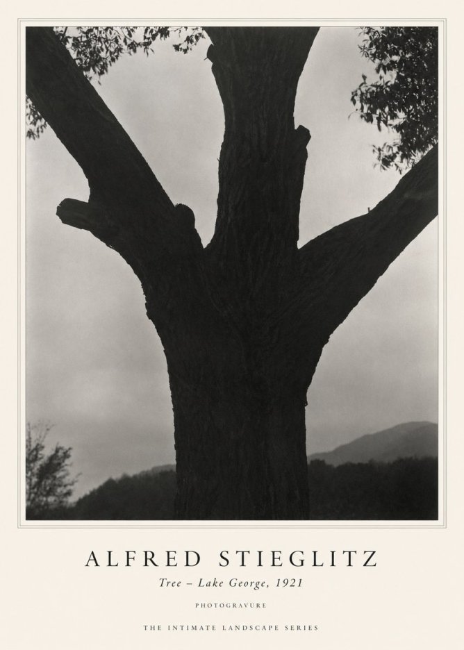 Alfred Stieglitz Tree - Lake George, 1921 No1 - Juliste