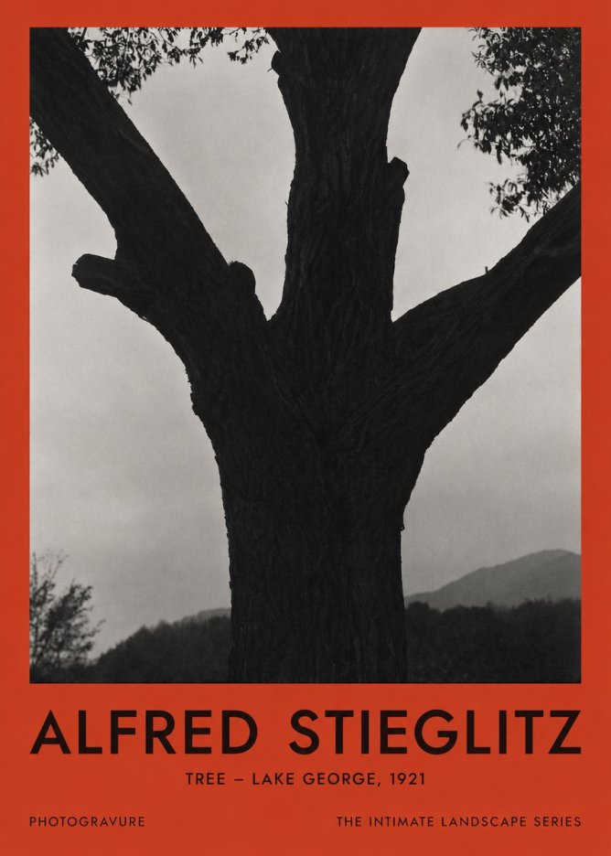 Alfred Stieglitz Tree - Lake George, 1921 No2 - Juliste
