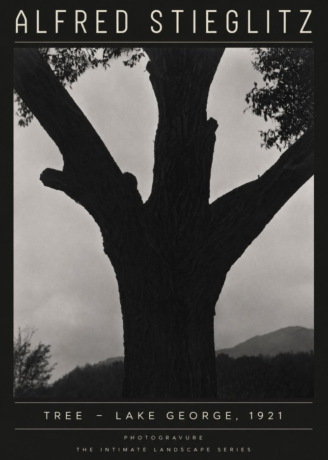 Alfred Stieglitz Tree - Lake George, 1921 No4 - Juliste