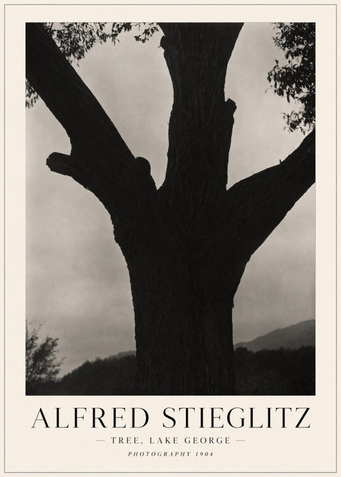 Alfred Stieglitz Tree - Lake George, 1921 No5 - Juliste
