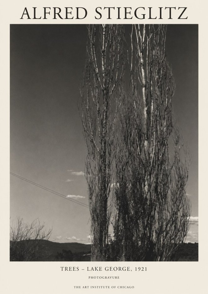 Alfred Stieglitz Trees - Lake George, 1921 No1 - Juliste