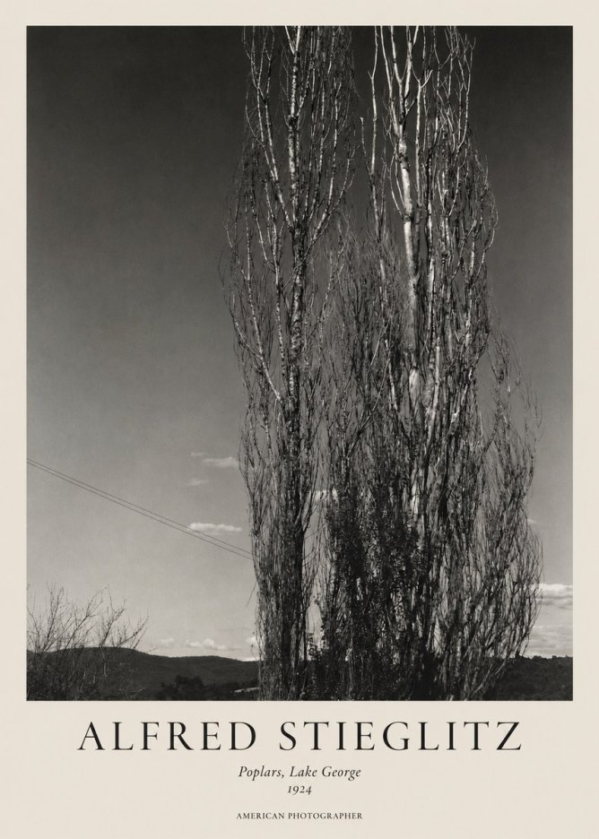 Alfred Stieglitz Trees - Lake George, 1921 No2 - Juliste