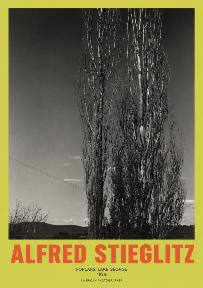 Alfred Stieglitz Trees - Lake George, 1921 No3 - Juliste