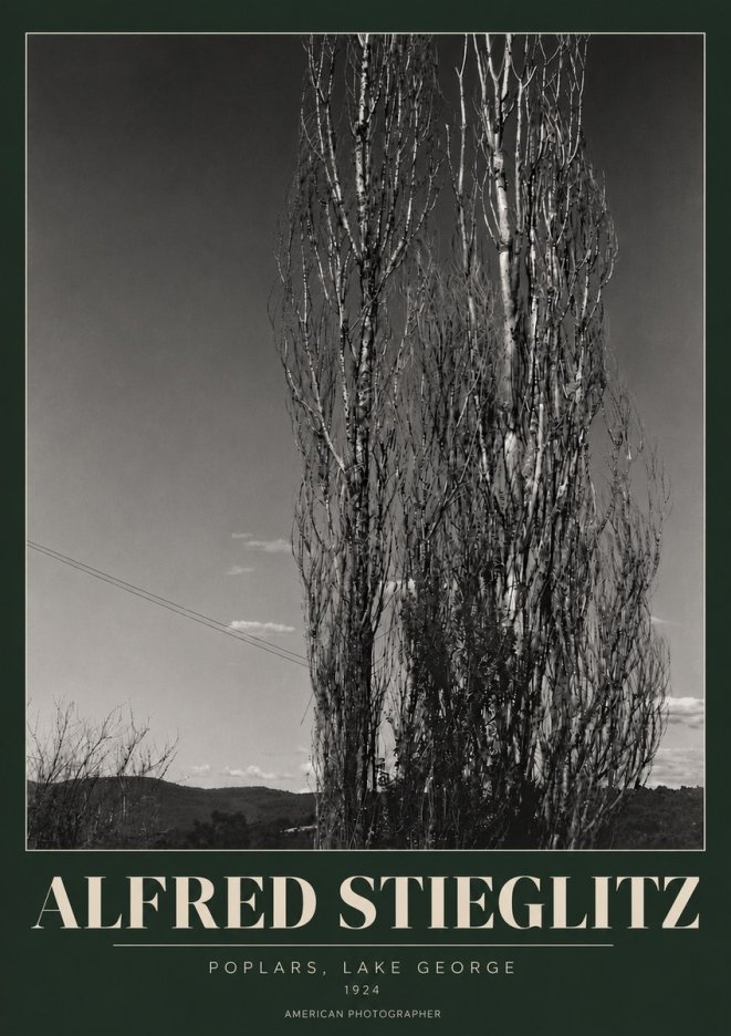 Alfred Stieglitz Trees - Lake George, 1921 No6 - Juliste