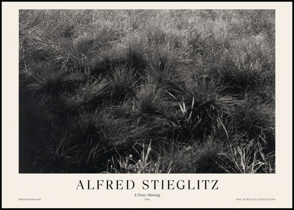 Alfred Stieglitz A Dewy Morning No1 - Juliste