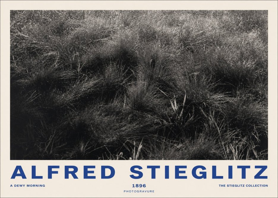 Alfred Stieglitz A Dewy Morning No2 - Juliste